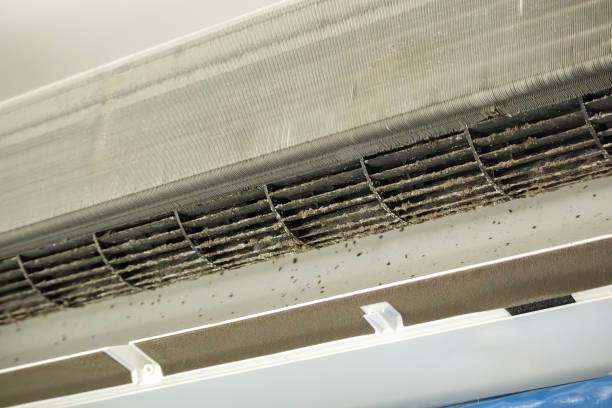 Best Best Air Duct Cleaning Near Me  in Granger, TX